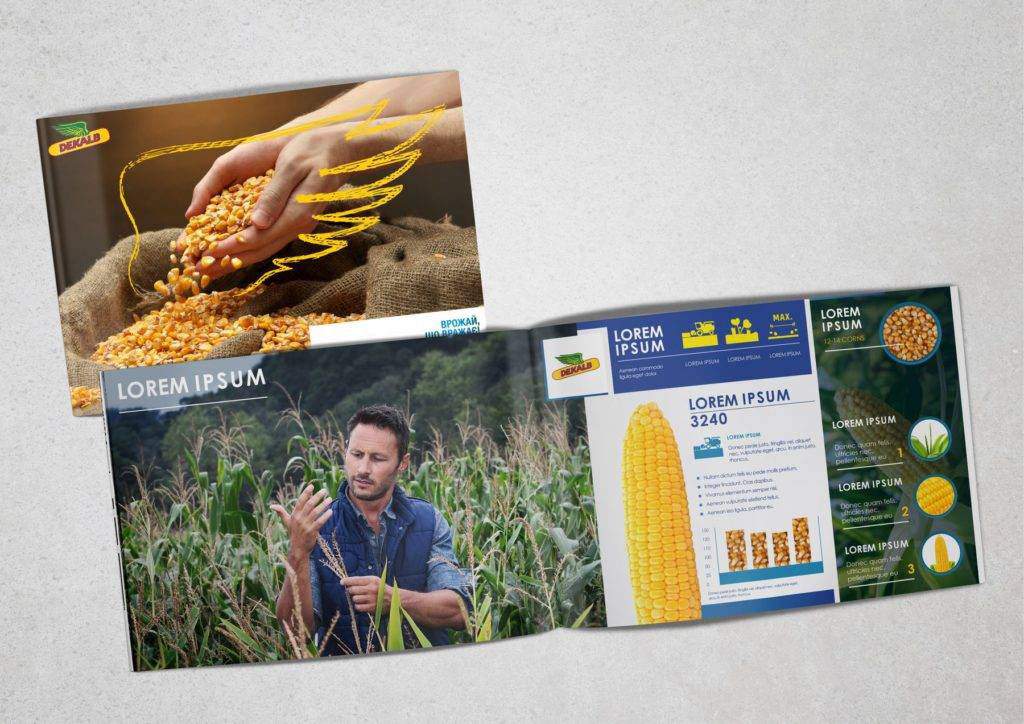 Розробка дизайну каталогу гібридів Dekalb