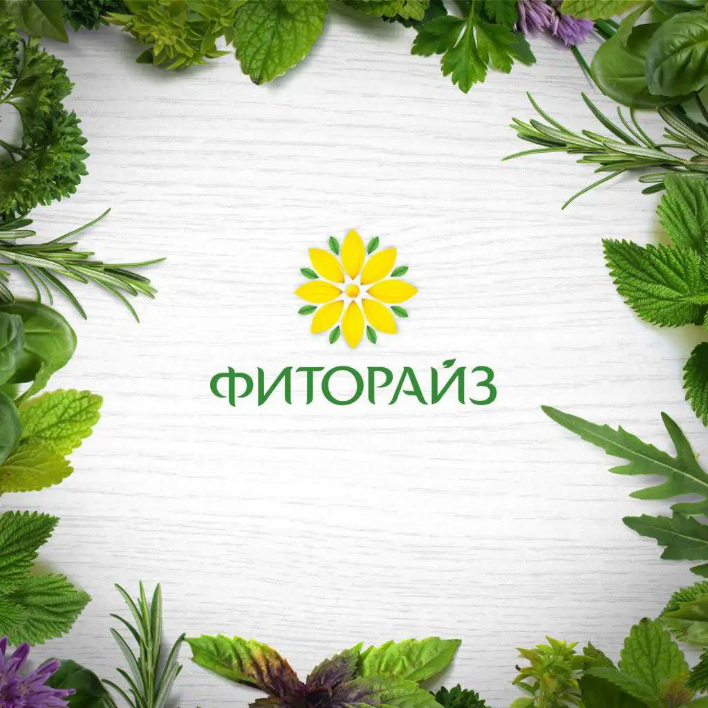 Розробка брендбуку для компанії Fitorise