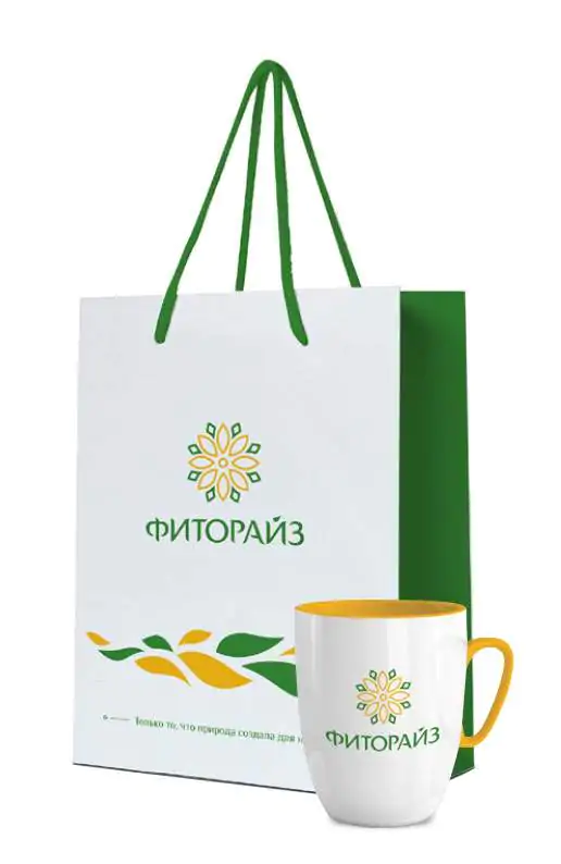 Розробка брендбуку для компанії Fitorise portfolio