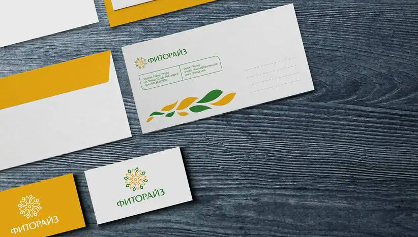 Розробка брендбуку для компанії Fitorise portfolio