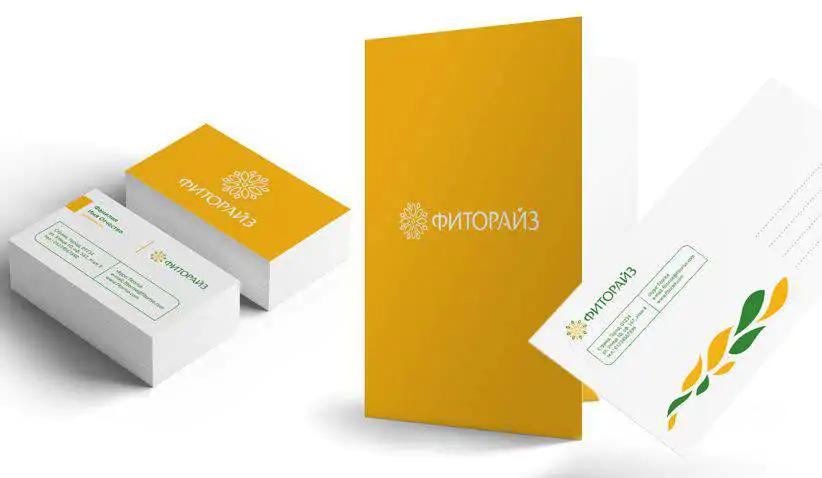 Розробка брендбуку для компанії Fitorise portfolio